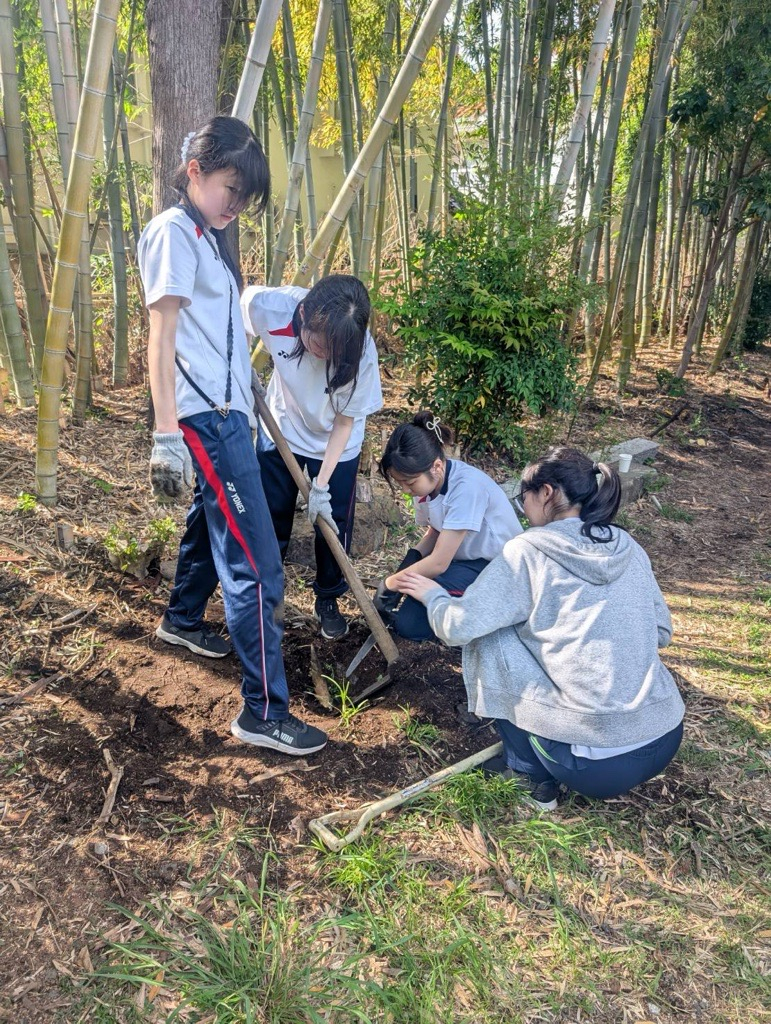 画像 (10)